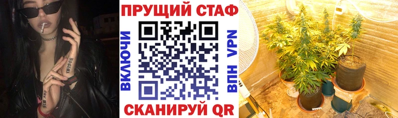 Купить наркотики сайты Чебоксары А ПВП  Меф мяу мяу  Псилоцибиновые грибы  Гашиш 
