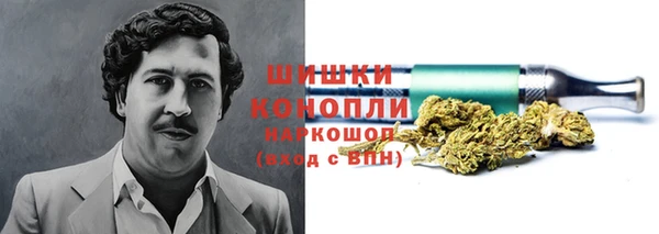 шишки Алексин