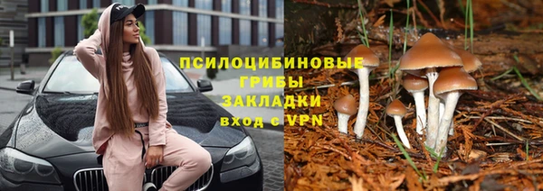 соль курить ск Алзамай