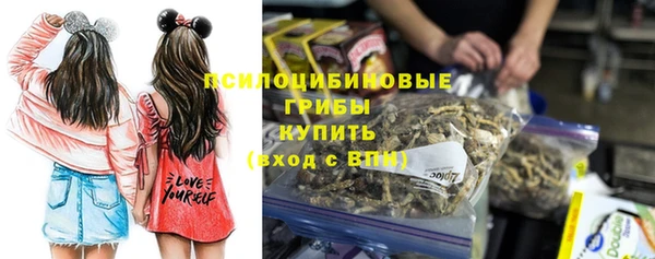 шишки Алексин