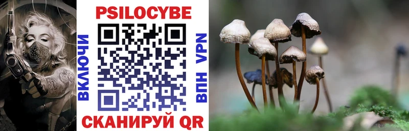 mega ONION  Чебоксары  Галлюциногенные грибы прущие грибы 