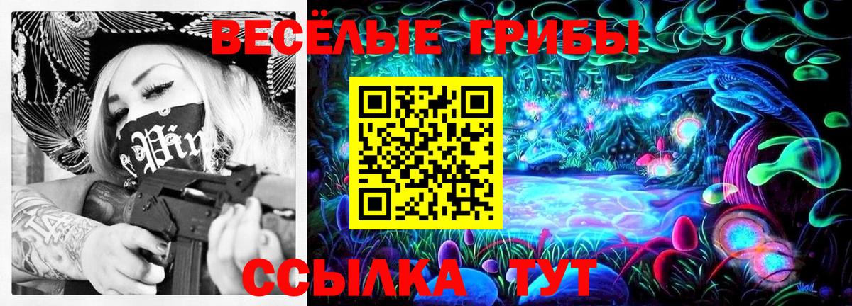 Псилоцибиновые грибы Psilocybine cubensis Чебоксары