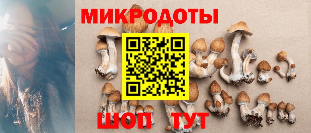 Чебоксары  Галлюциногенные грибы Psilocybine cubensis  Вход с VPN 